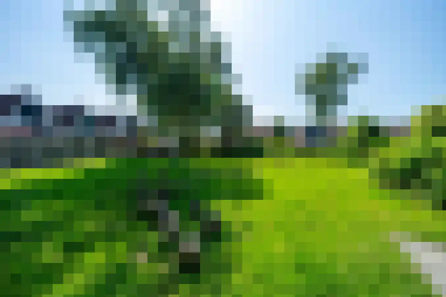 Peel 4 B Dronten thumbnail 29