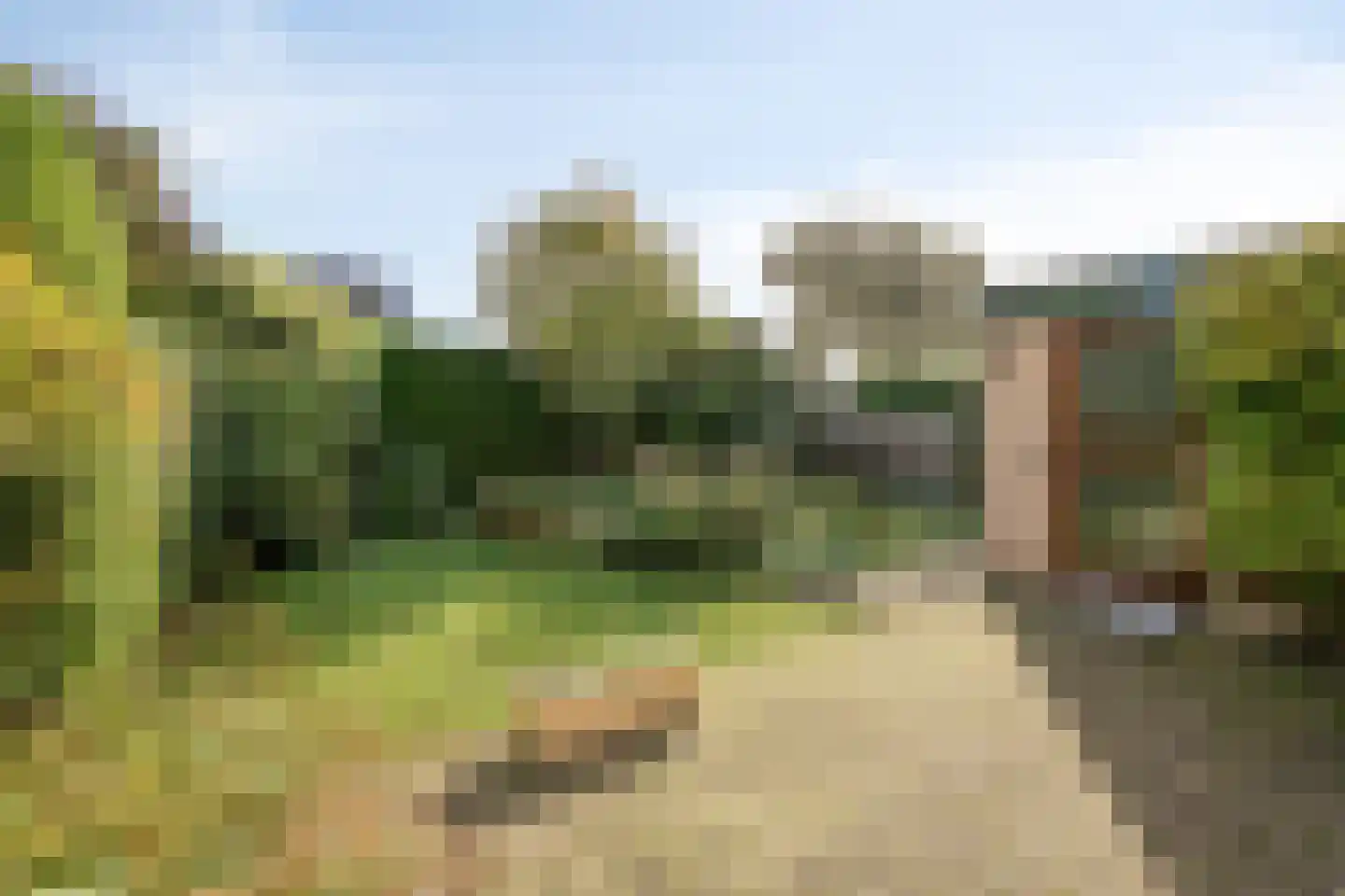 Peel 53 Dronten thumbnail 4