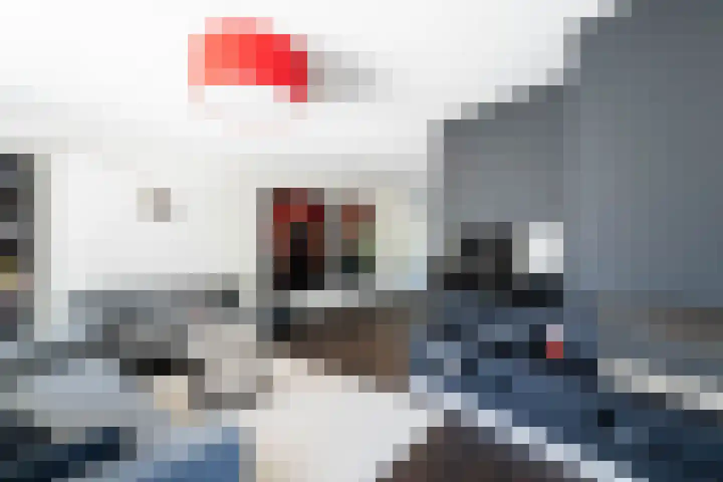 Peelbeemd 2 Weert thumbnail 12