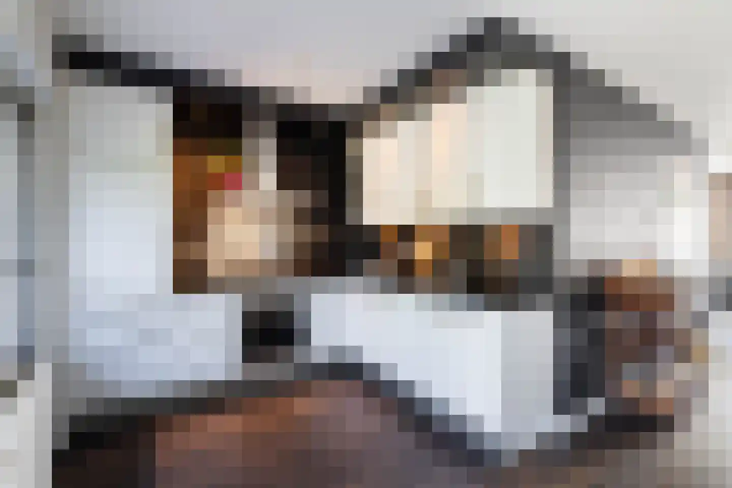 Peelbeemd 2 Weert thumbnail 17