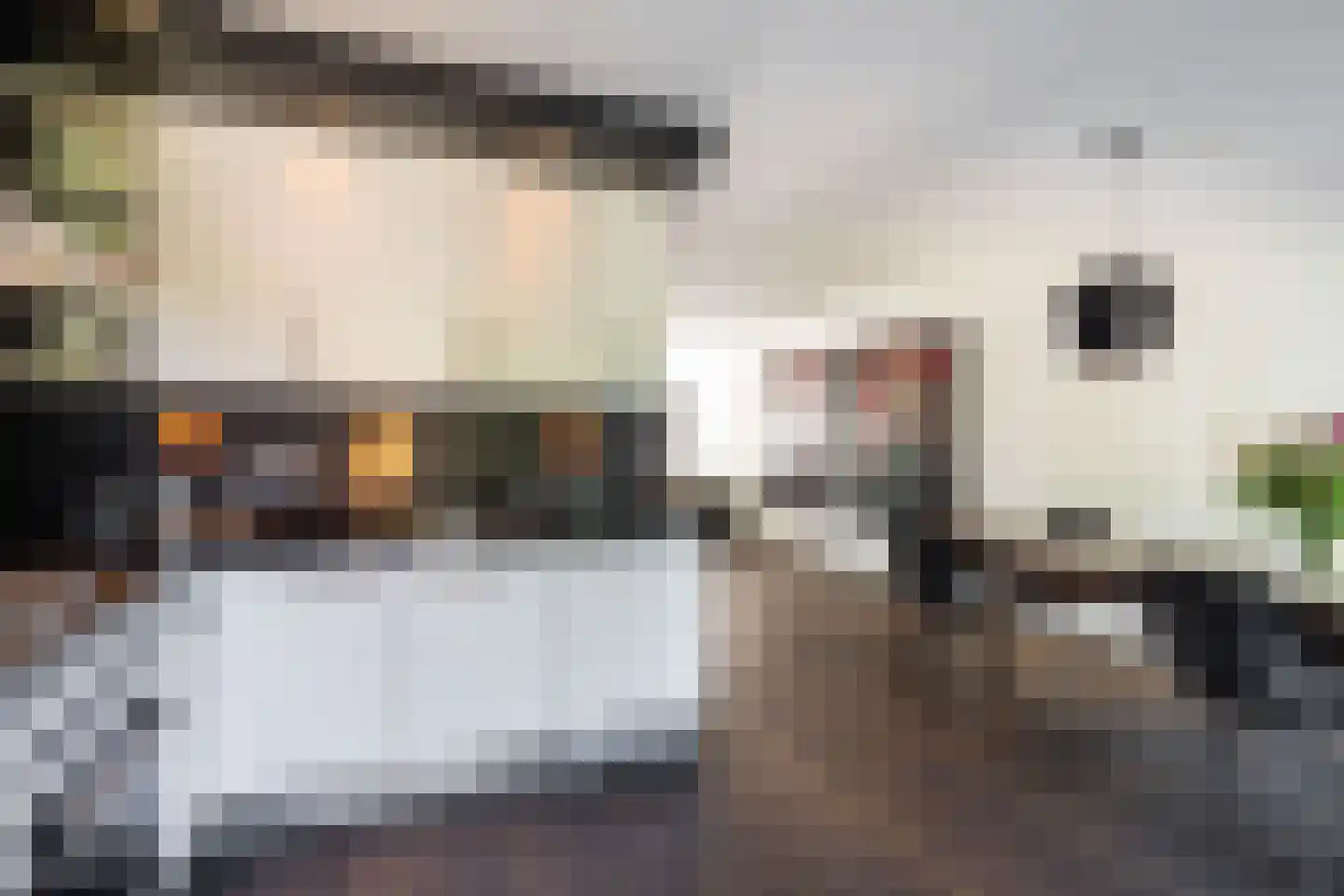 Peelbeemd 2 Weert thumbnail 18