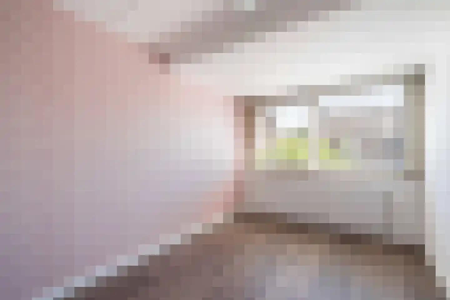 Peelbeemd 2 Weert thumbnail 25