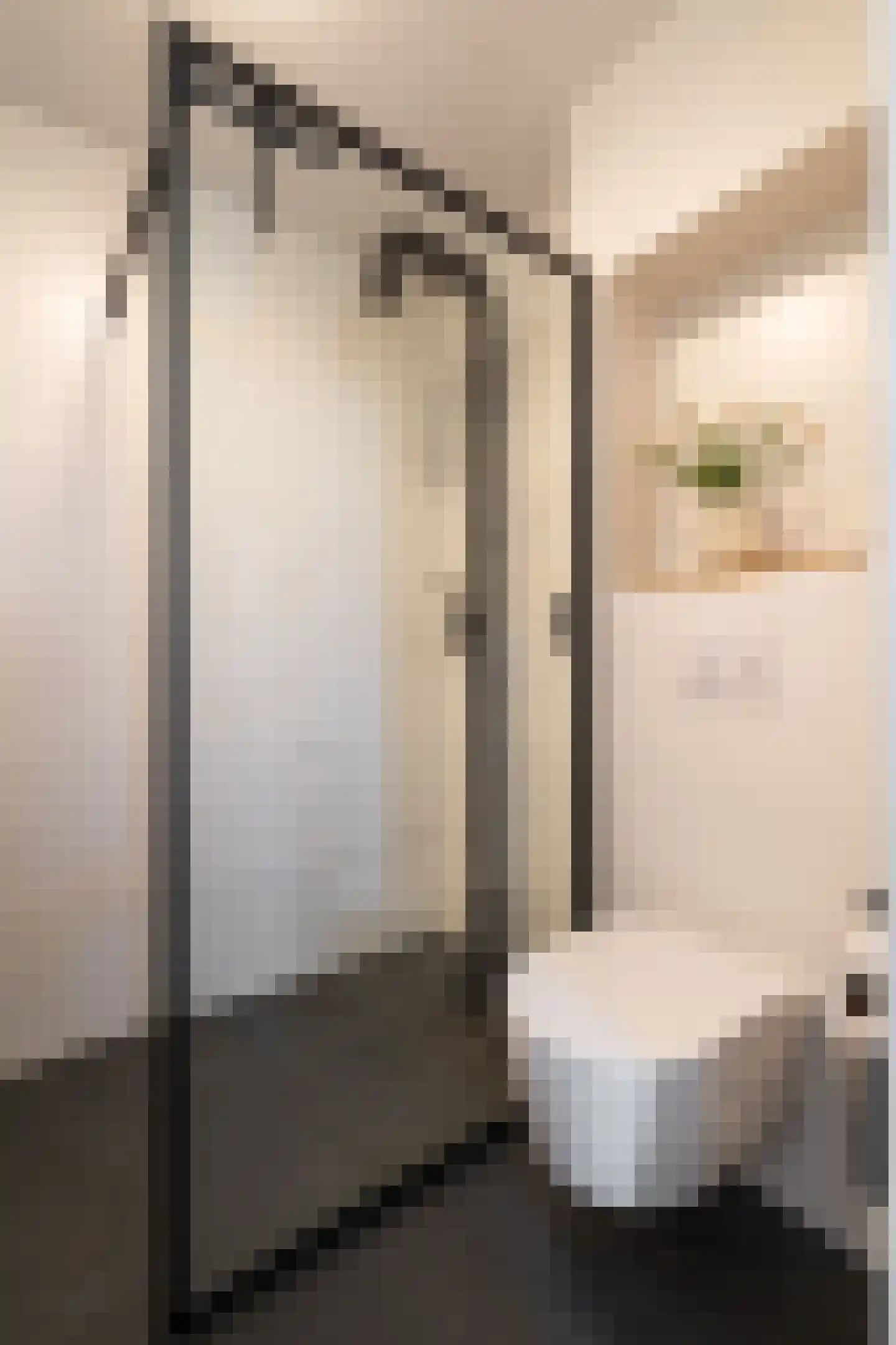 Peelbeemd 2 Weert thumbnail 30
