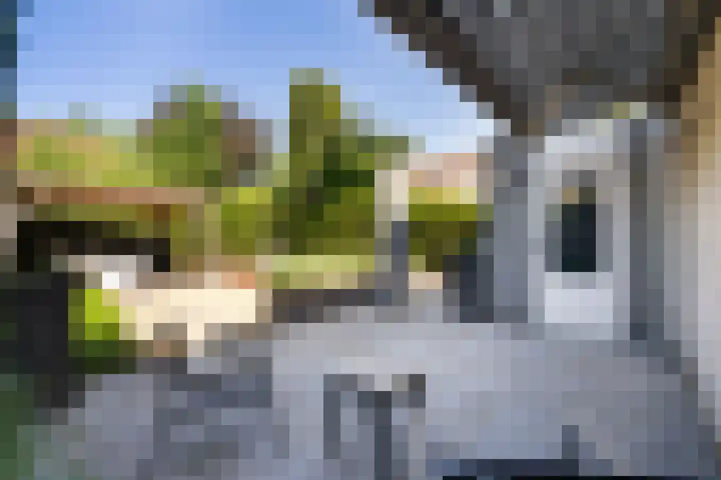 Peelbeemd 2 Weert thumbnail 38