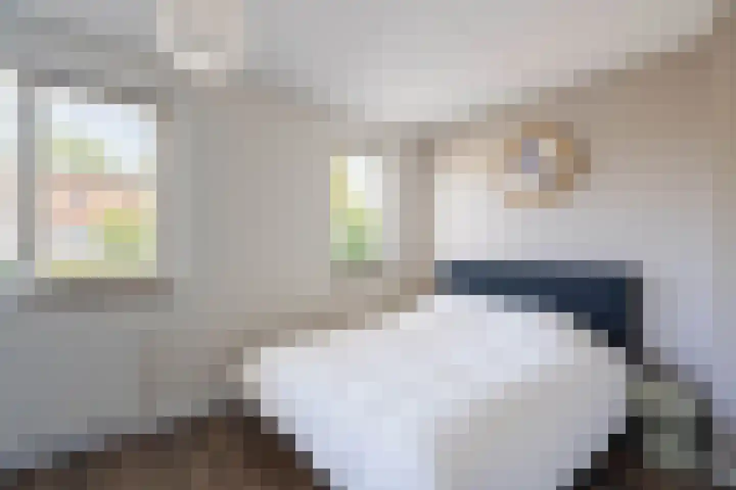 Peelbeemd 2 Weert thumbnail 4