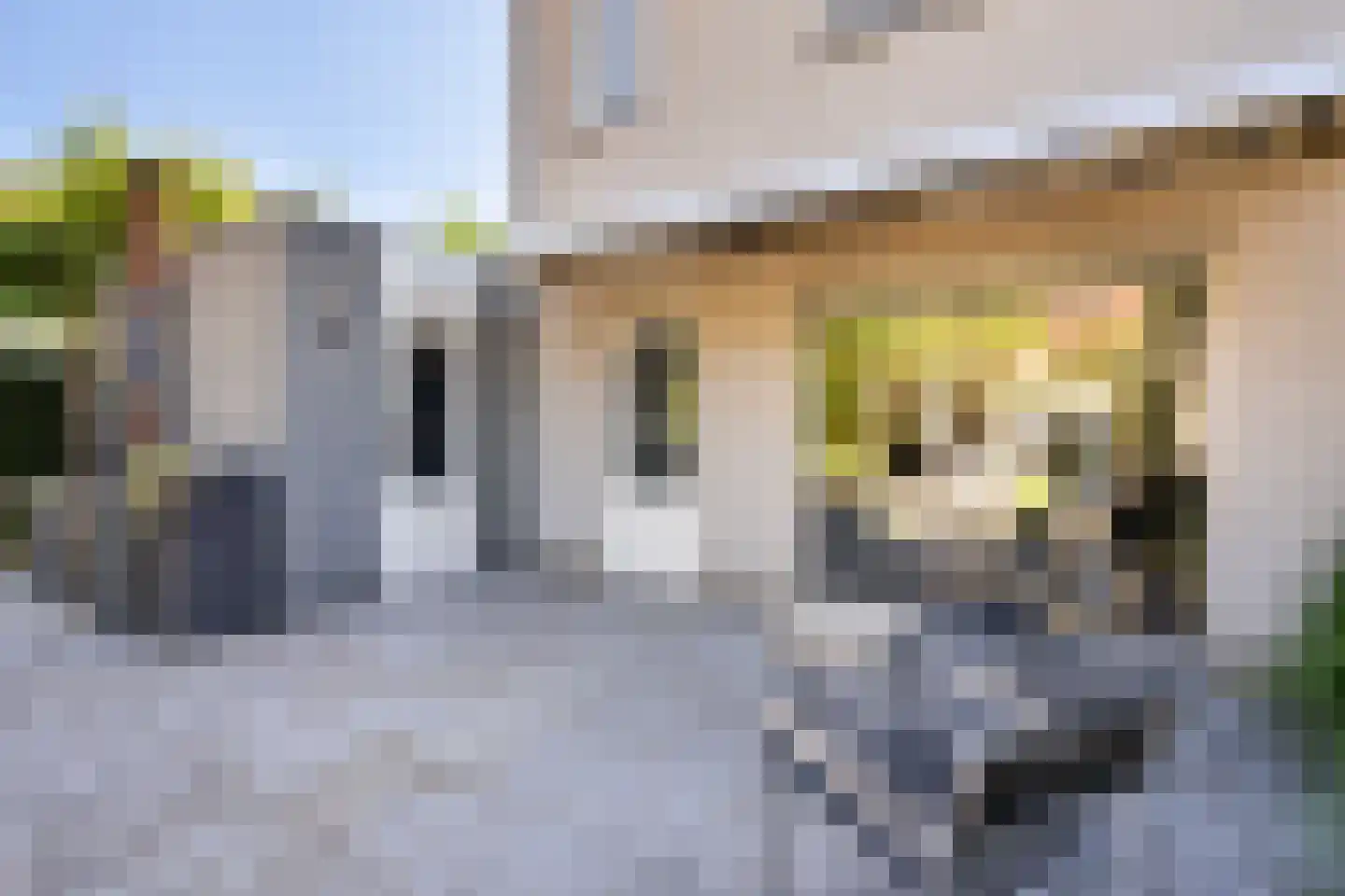 Peelbeemd 2 Weert thumbnail 41