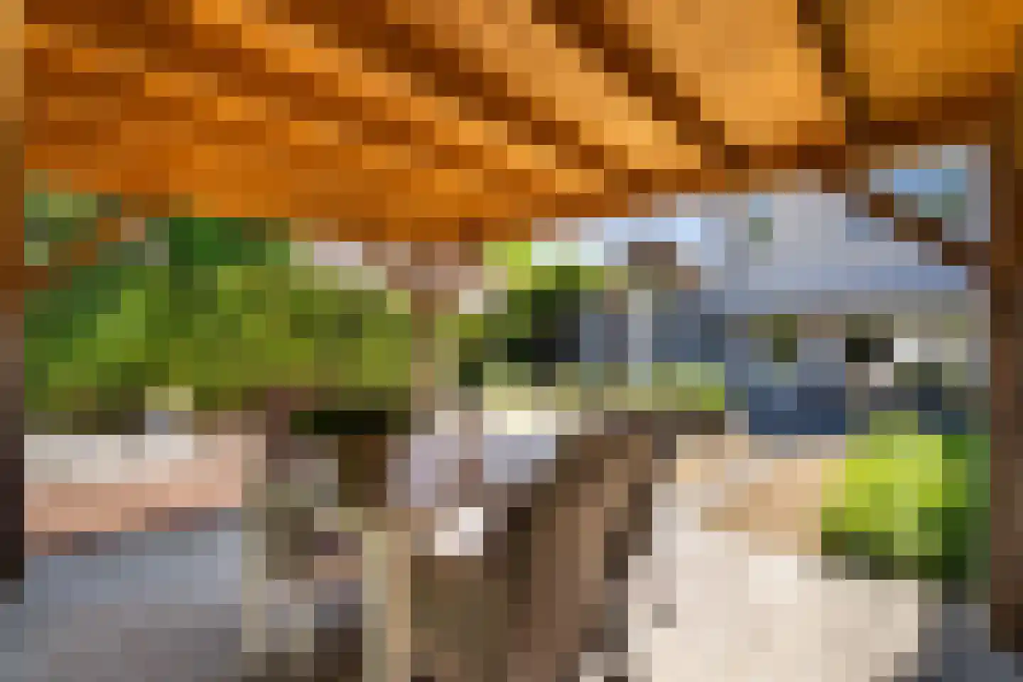Peelbeemd 2 Weert thumbnail 43