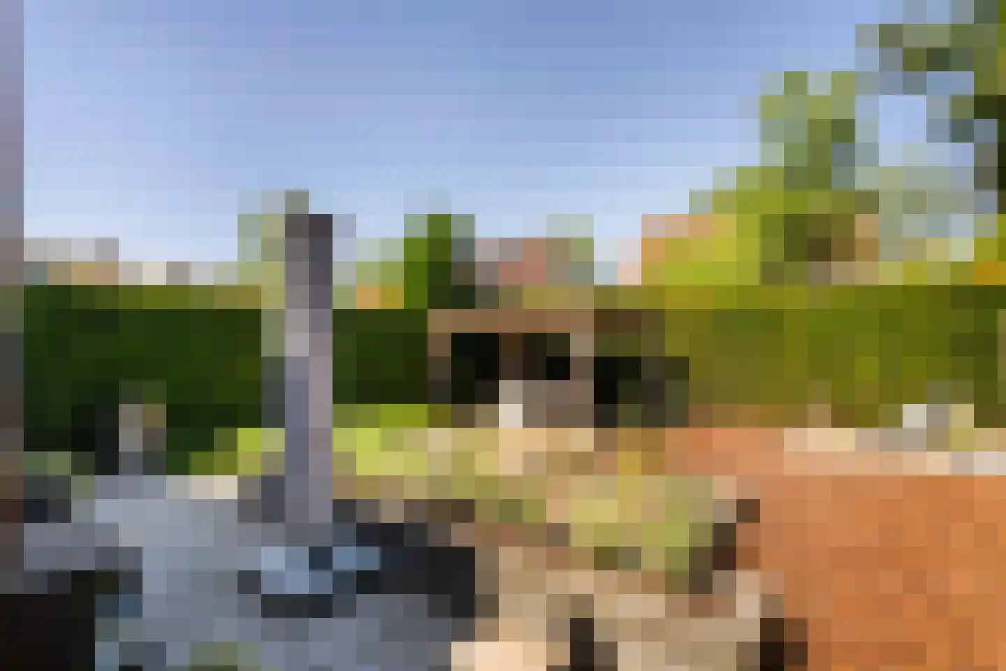 Peelbeemd 2 Weert thumbnail 44