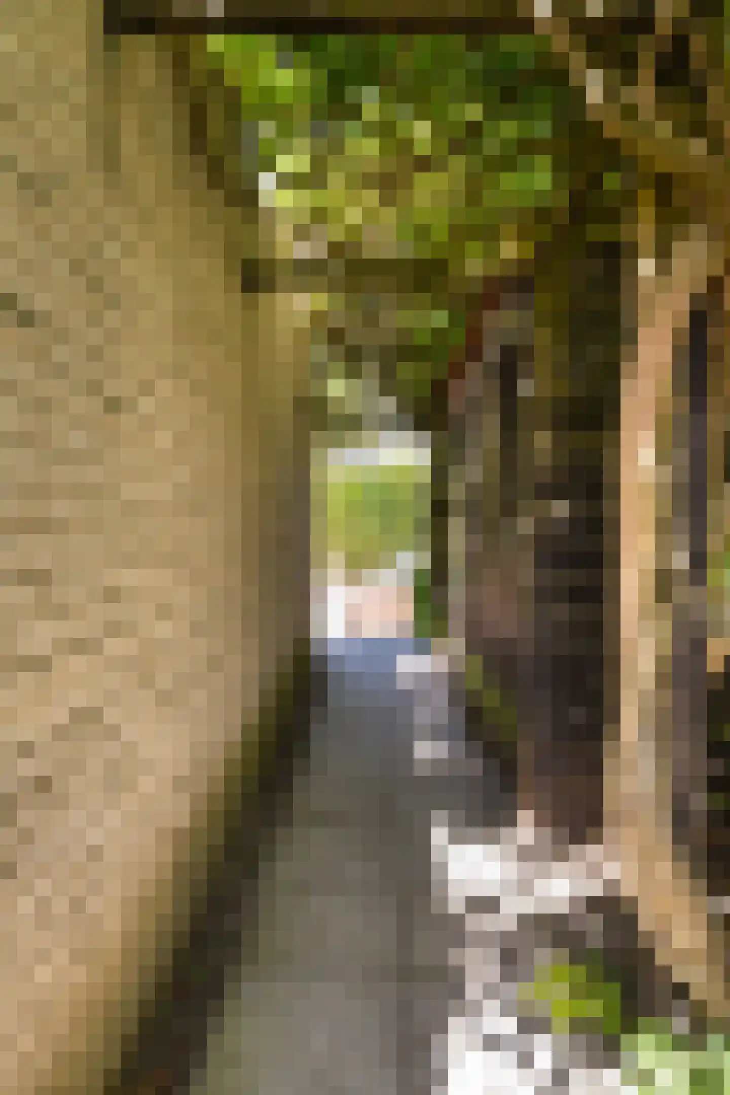 Peelbeemd 2 Weert thumbnail 48