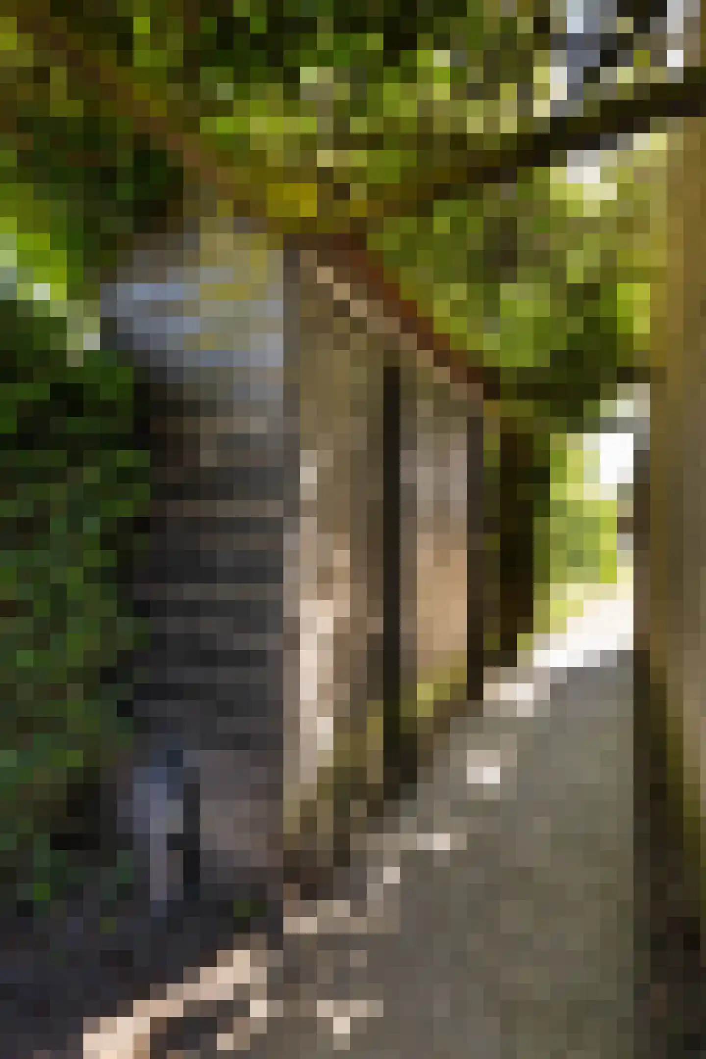 Peelbeemd 2 Weert thumbnail 49