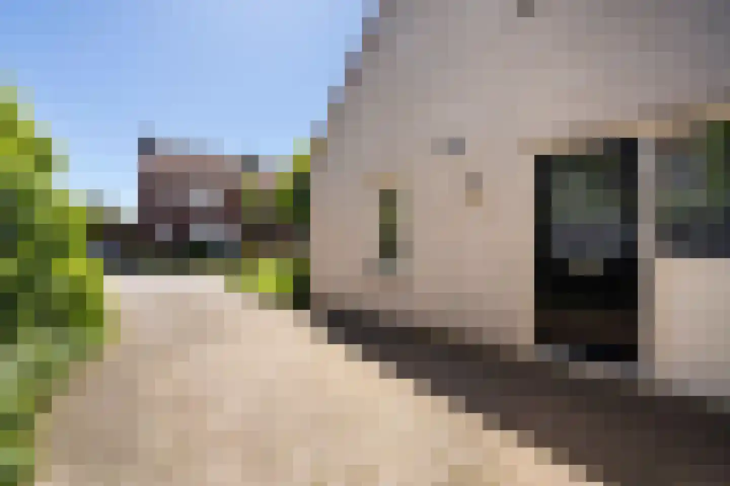Peelbeemd 2 Weert thumbnail 51