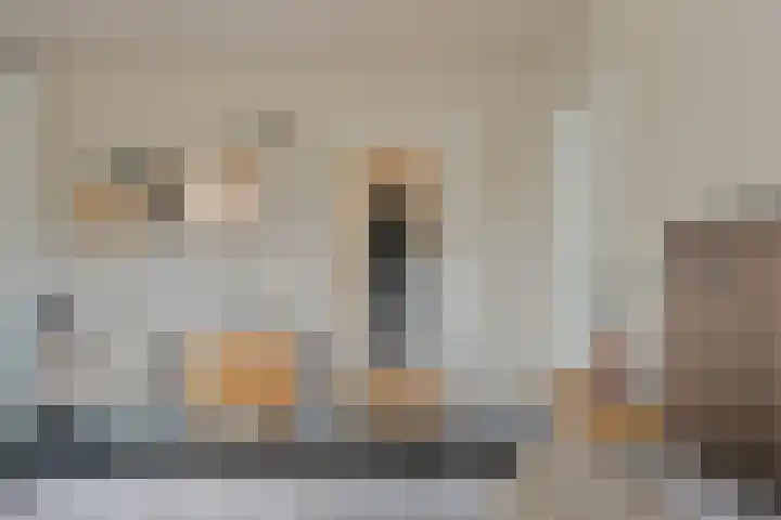 Peeldijk 22 Budel-Dorplein thumbnail 14