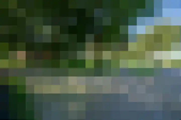 Peeldijk 22 Milheeze thumbnail 13
