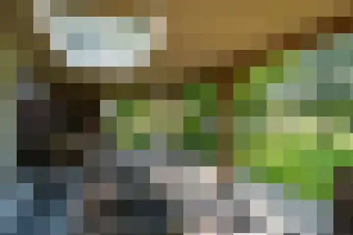 Peeldijk 22 Milheeze foto 2