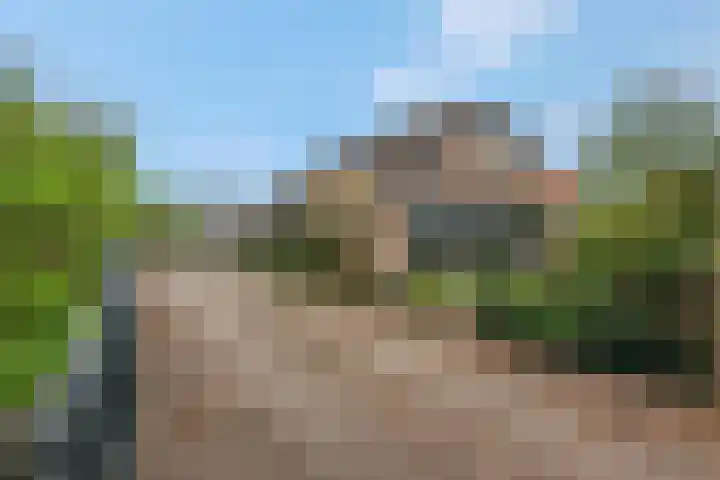 Peeldijk 22 Milheeze thumbnail 34