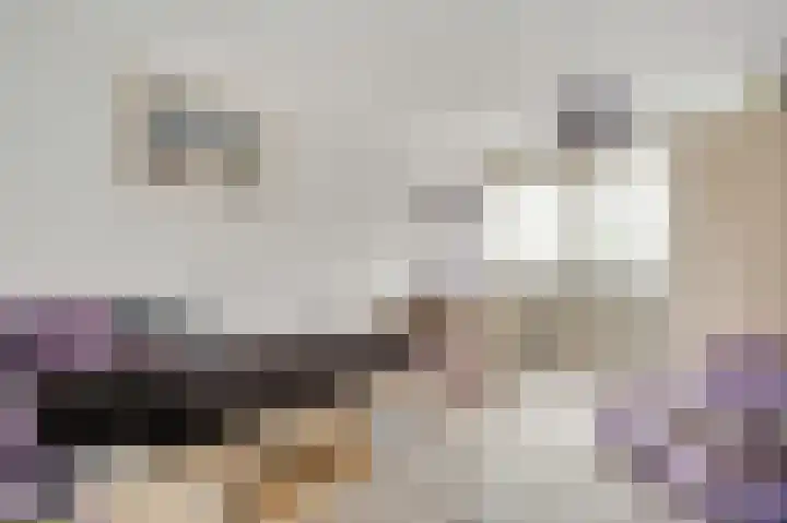 Peeldijk 22 Milheeze thumbnail 4