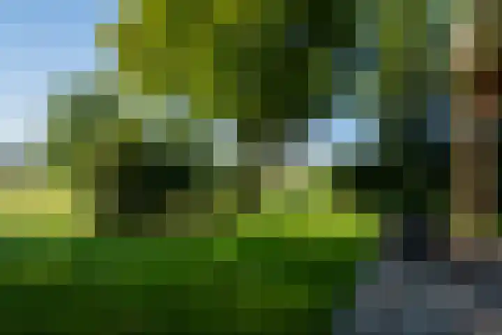 Peeldijk 22 Milheeze thumbnail 46