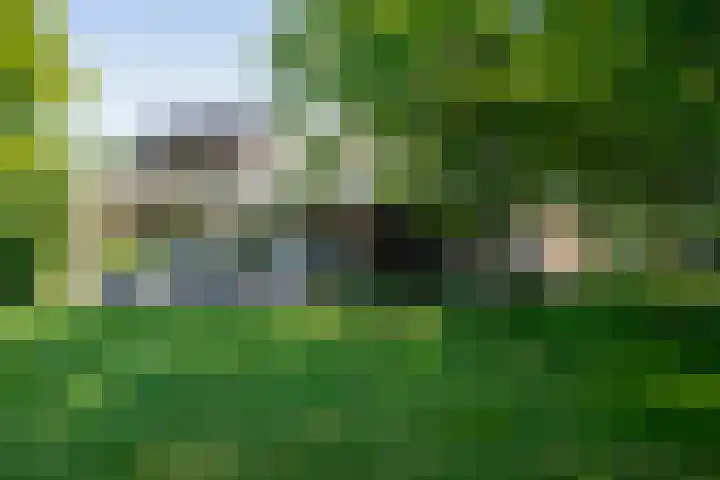 Peeldijk 22 Milheeze thumbnail 6