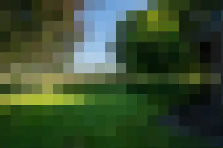 Peeldijk 22 Milheeze thumbnail 9