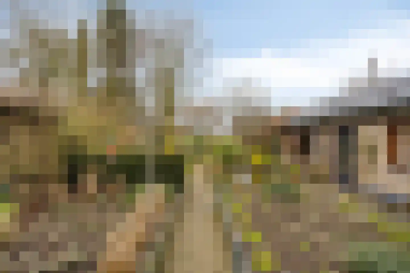 Peeldijk 38 Budel-Dorplein thumbnail 35