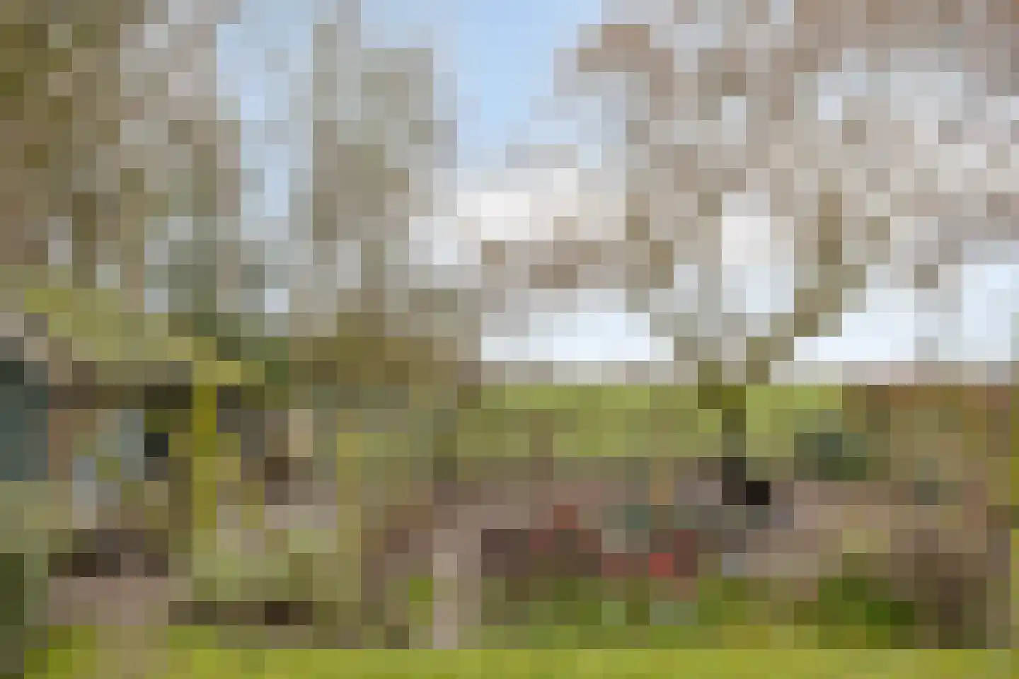 Peeldijk 38 Budel-Dorplein thumbnail 36
