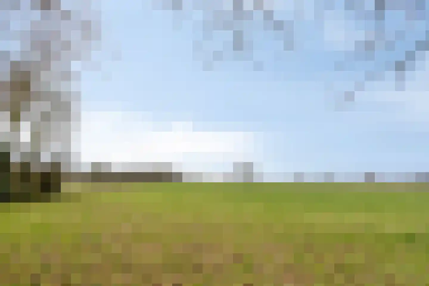 Peeldijk 38 Budel-Dorplein thumbnail 37