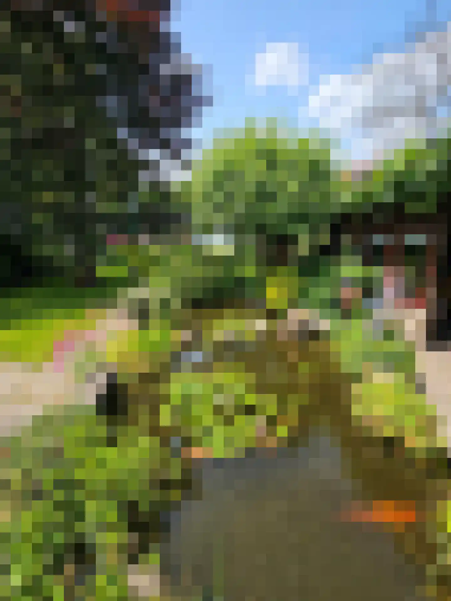 Peeldijk 38 Budel-Dorplein thumbnail 39