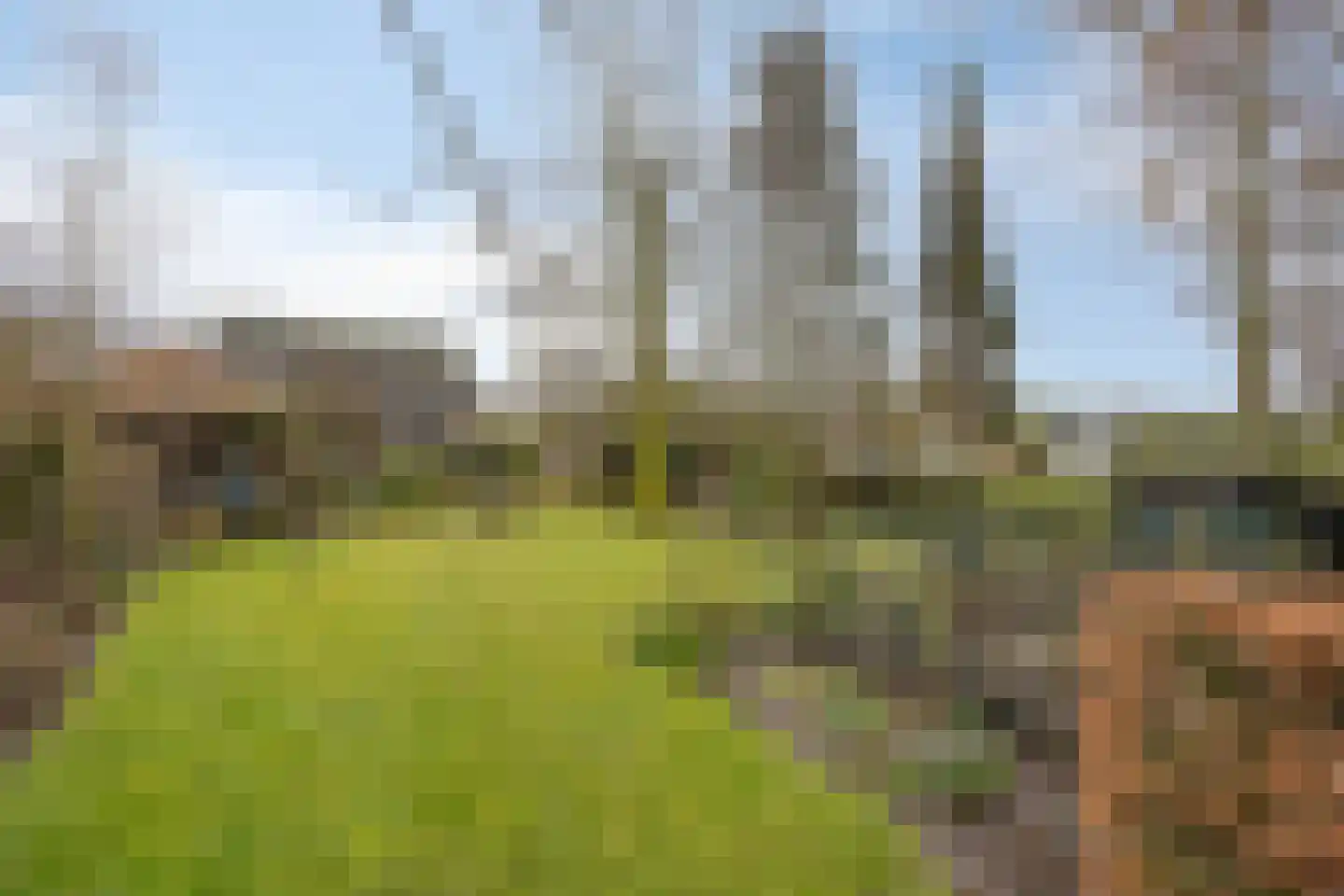Peeldijk 38 Budel-Dorplein thumbnail 4