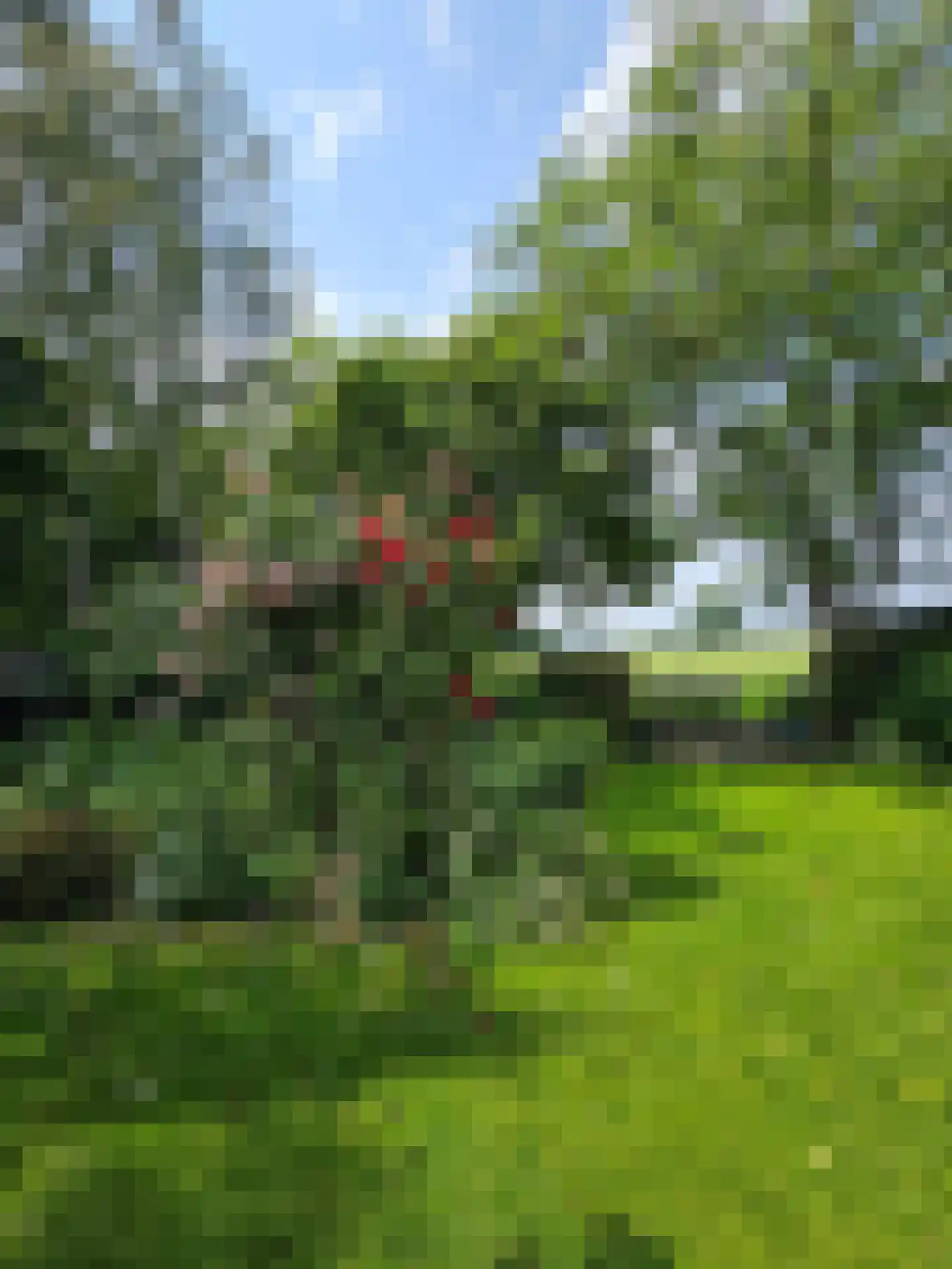 Peeldijk 38 Budel-Dorplein thumbnail 40