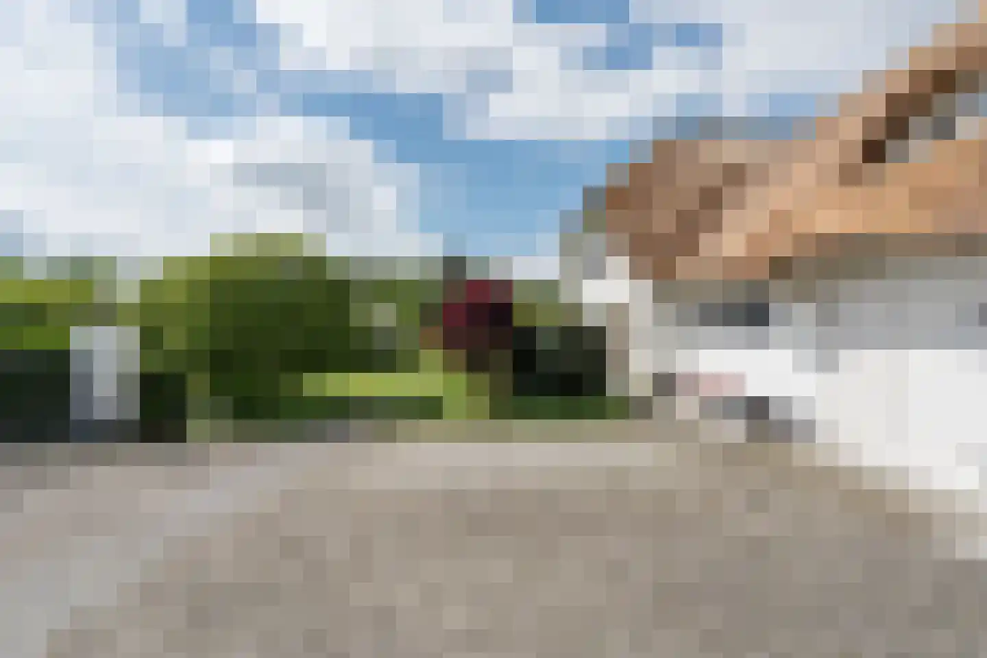 Peeldijk 38 Budel-Dorplein thumbnail 50