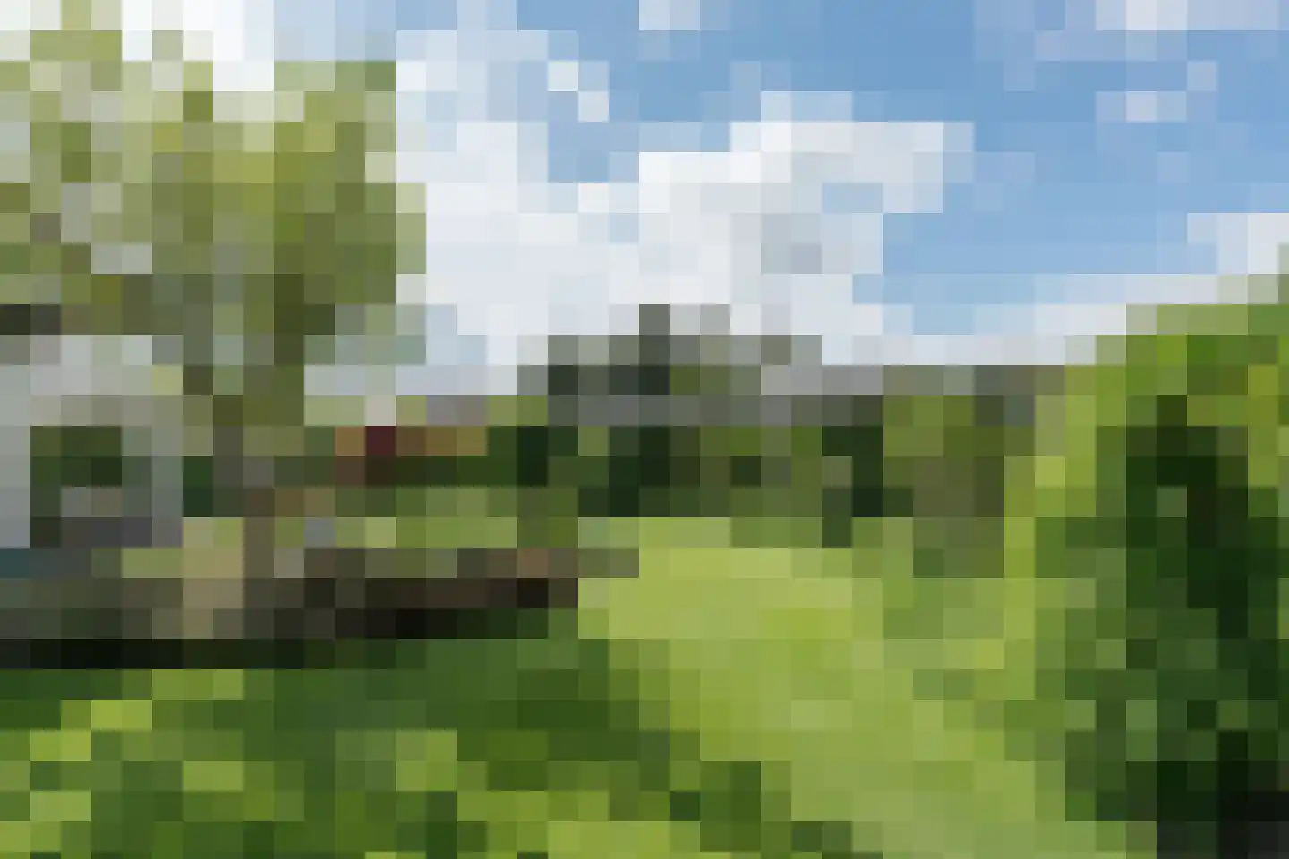 Peeldijk 38 Budel-Dorplein thumbnail 60
