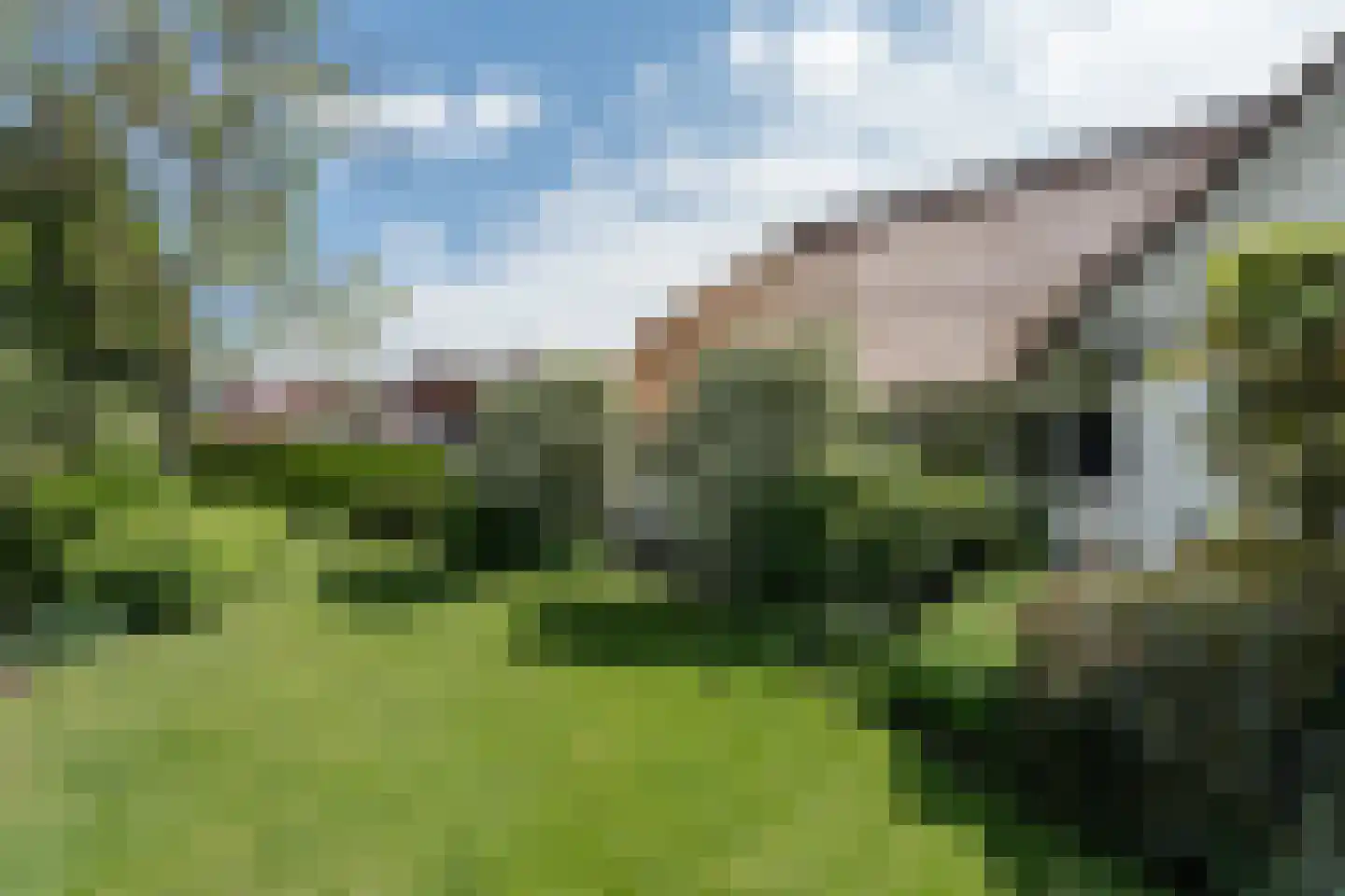 Peeldijk 38 Budel-Dorplein thumbnail 61