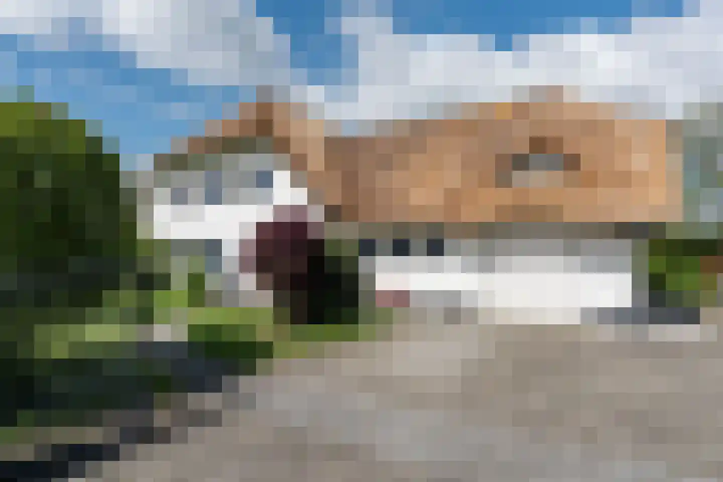 Peeldijk 38 Budel-Dorplein thumbnail 8