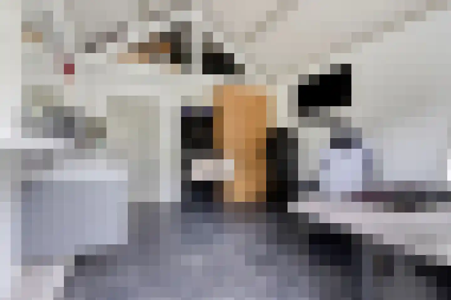 Peeldijk 40 Budel-Dorplein thumbnail 32