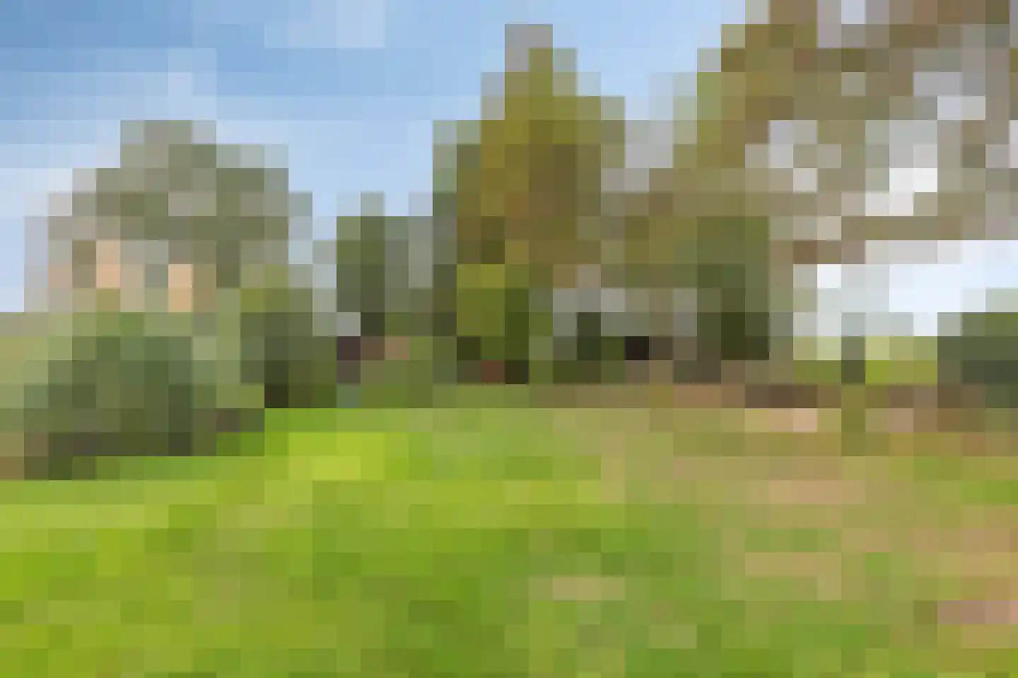Peeldijk 40 Budel-Dorplein thumbnail 37