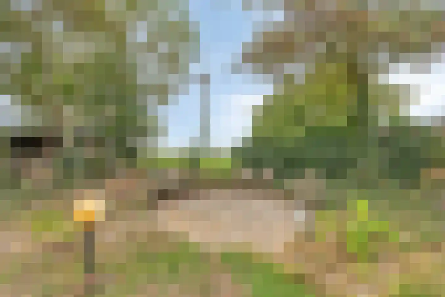 Peeldijk 40 Budel-Dorplein thumbnail 38