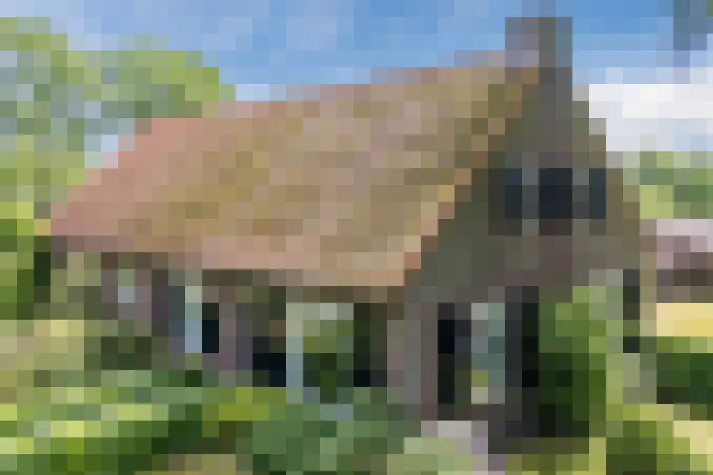 Peeldijk 49 Handel thumbnail 5