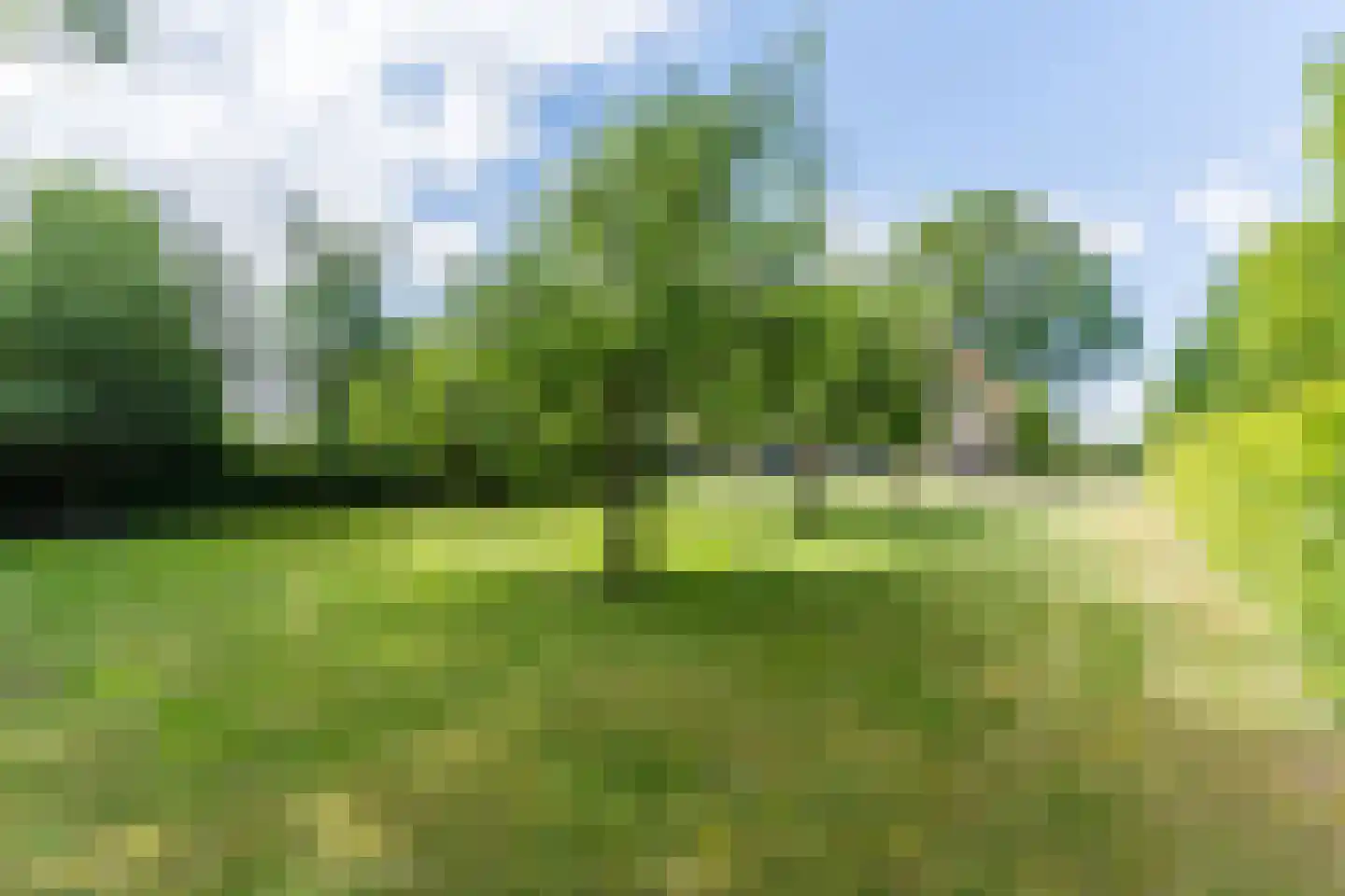 Peeldijk 49 Handel thumbnail 52