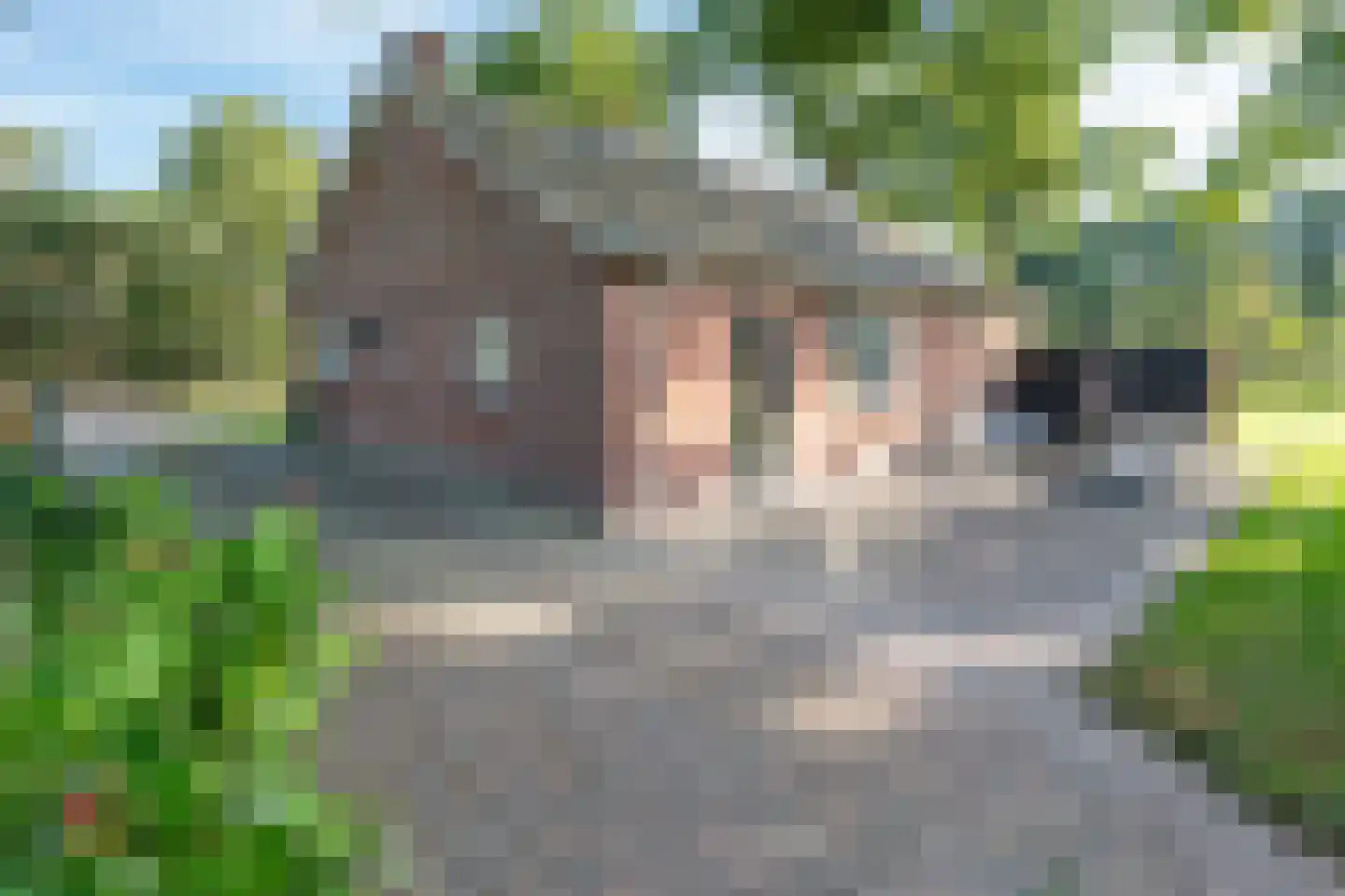 Peeldijk 6 Milheeze thumbnail 22