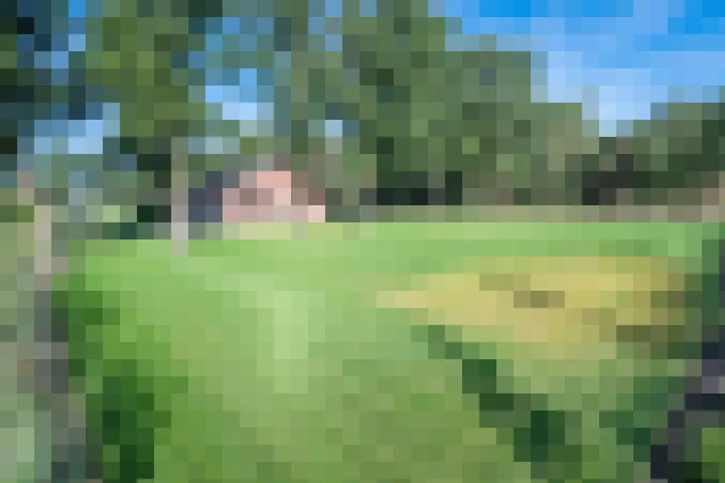 Peeldijk 6 Milheeze thumbnail 23