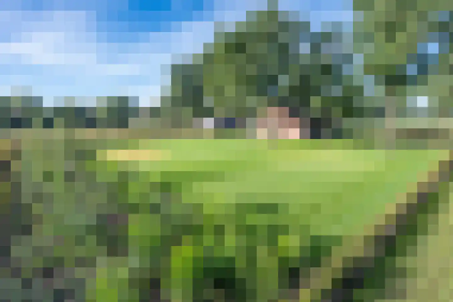 Peeldijk 6 Milheeze thumbnail 4