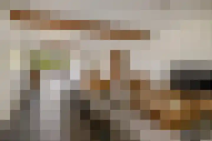 Peeleik 17 Helmond thumbnail 14