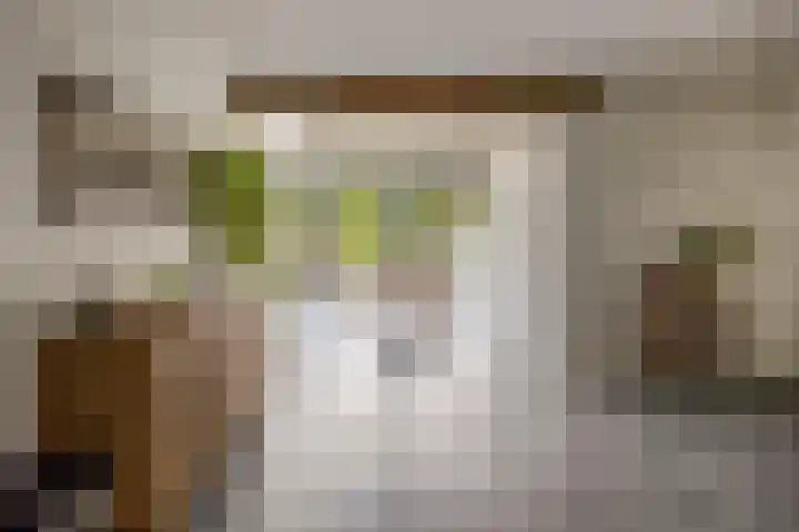 Peeleik 17 Helmond thumbnail 19