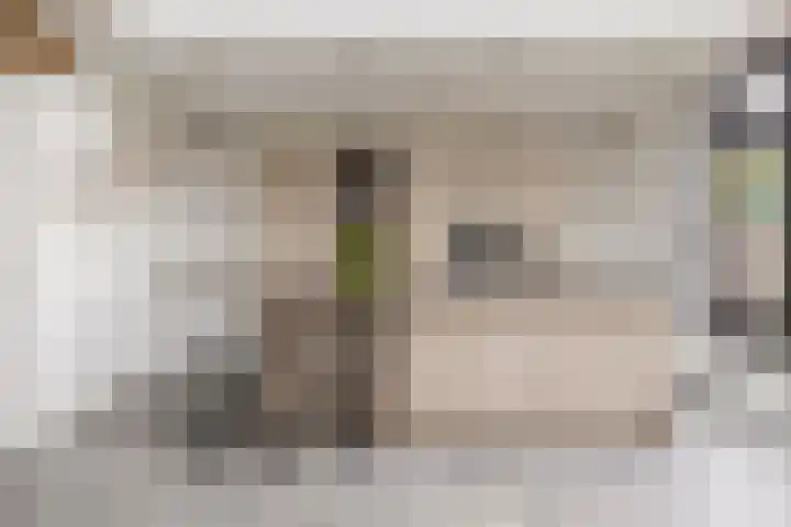 Peeleik 17 Helmond thumbnail 22