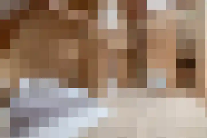 Peeleik 17 Helmond thumbnail 37