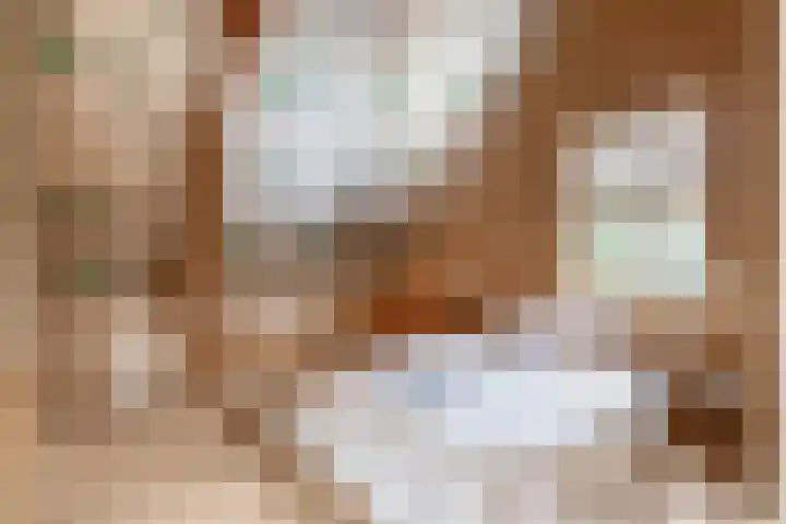 Peeleik 17 Helmond thumbnail 39