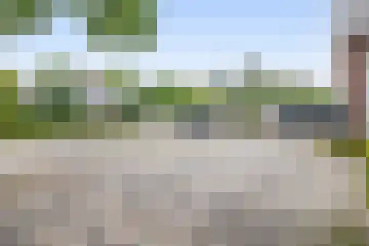 Peeleik 17 Helmond thumbnail 44