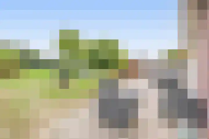 Peeleik 17 Helmond thumbnail 50