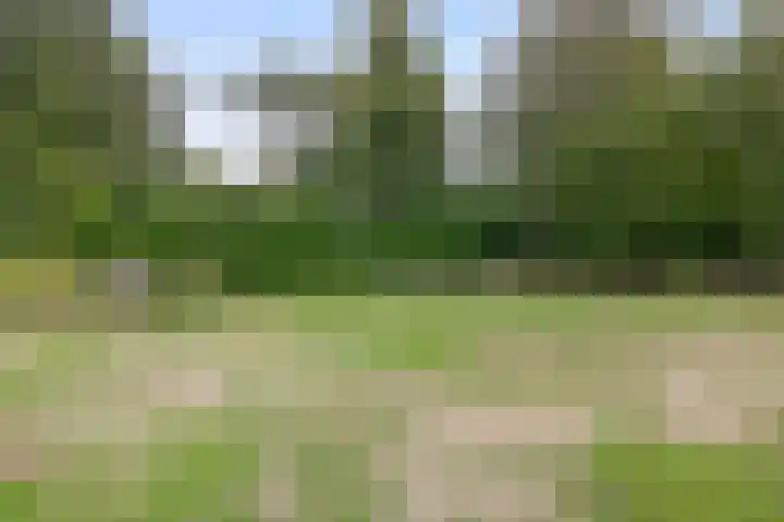 Peeleik 17 Helmond thumbnail 55