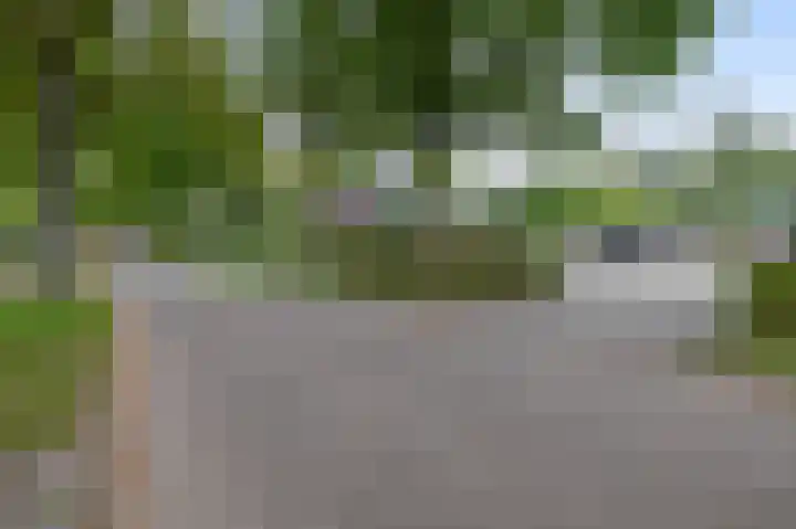 Peeleik 17 Helmond thumbnail 6